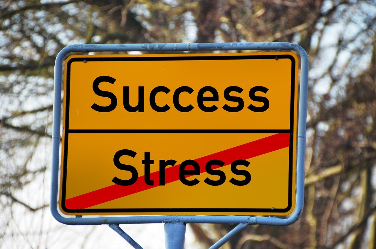 town sign that says success, with stress crossed out