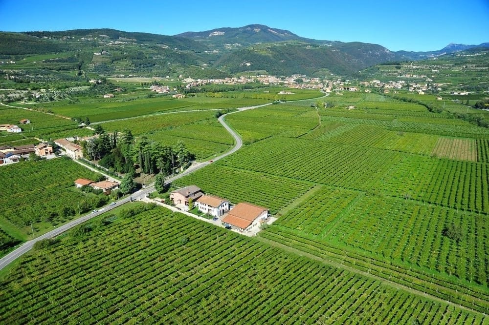 Veneto Wine Region at Spada Vineyards