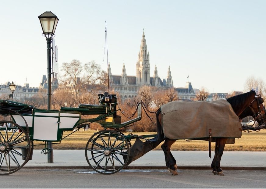 carriage in vienna, austria - historic mode of transport