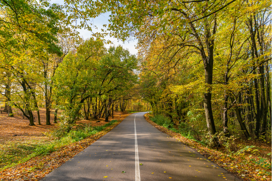 Autumn Road in Fruska Gora, Serbia