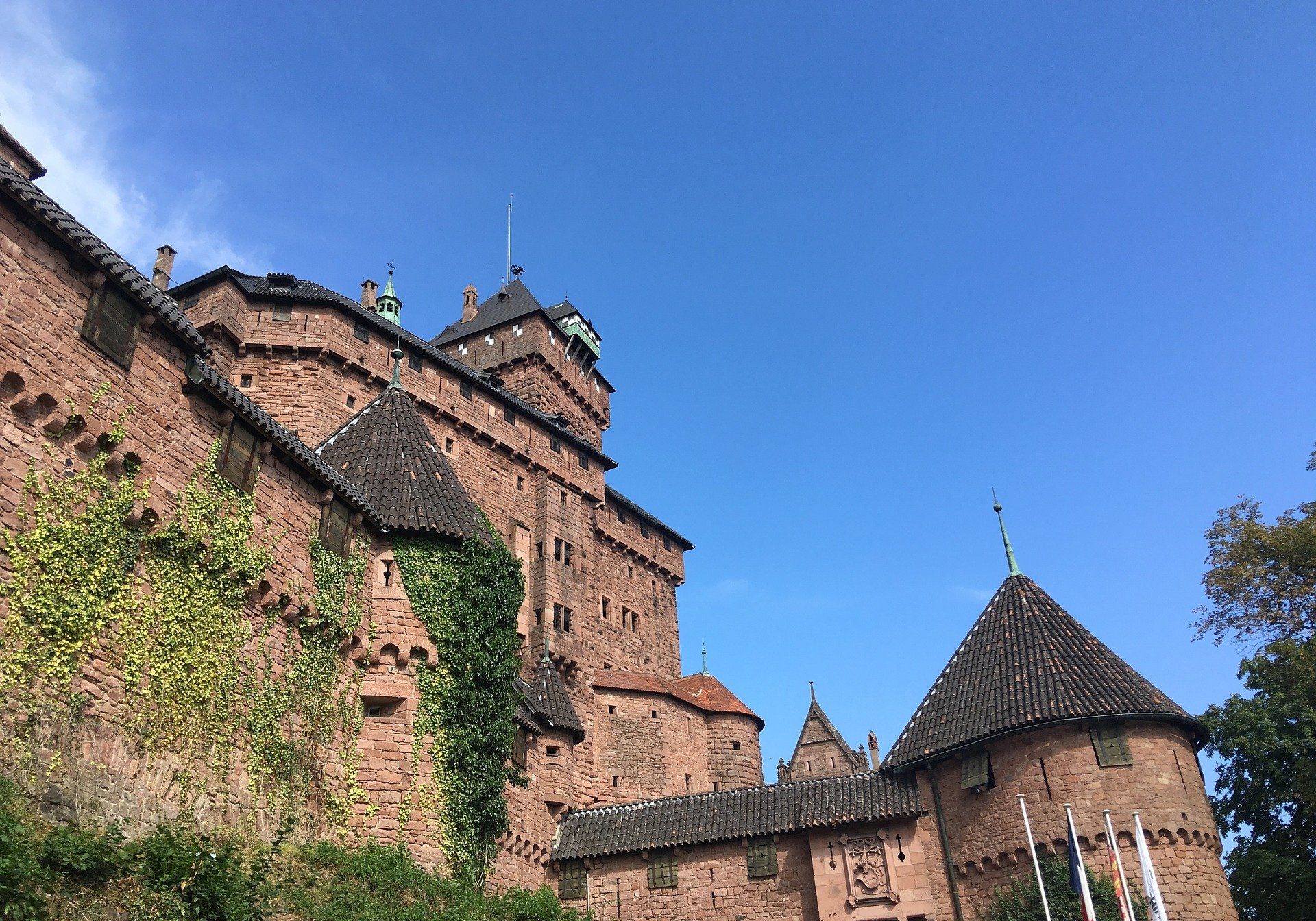 haut-koenigsbourg castle in Alsace France